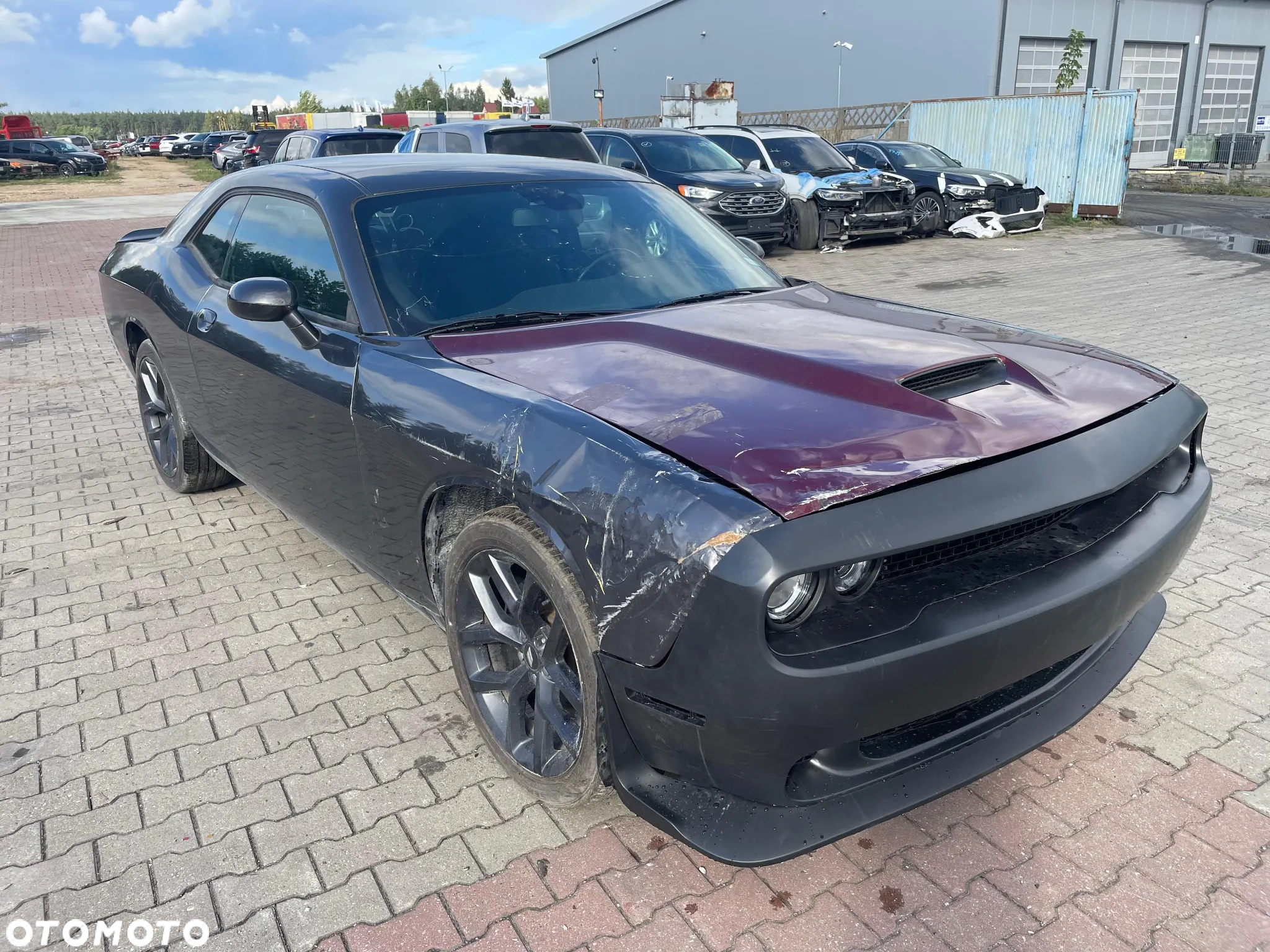 Dodge Challenger 3.6 SXT - 3