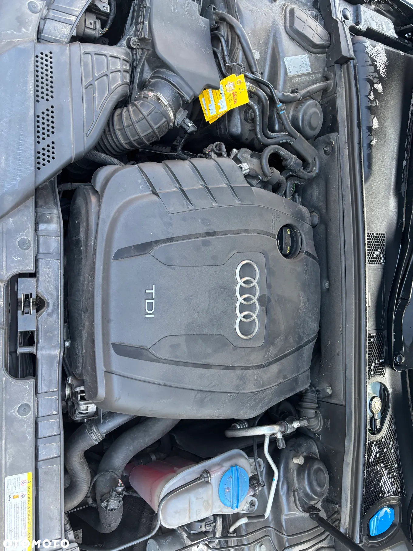 Audi A5 - 21