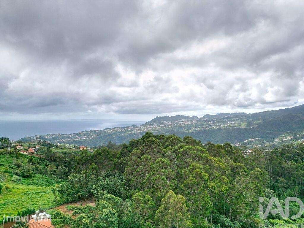 Terreno para construção T2 em São Jorge de 3630,00 m2 - Grande imagem: 3/30