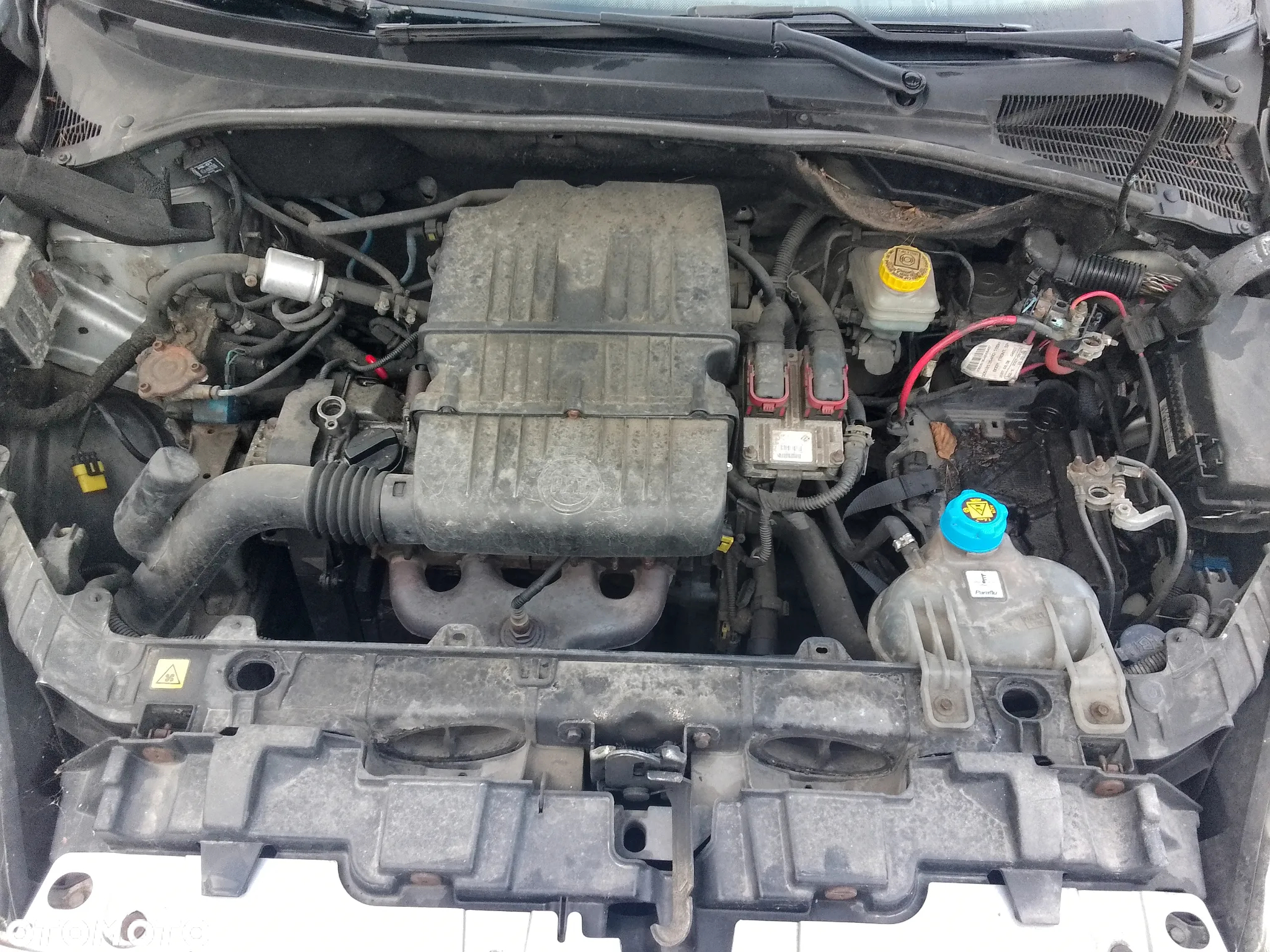 FIAT PUNTO 1.4B 77KM 2007R - CZĘŚCI !!! - 12