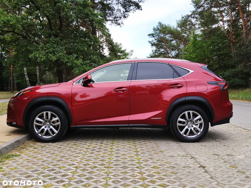Lexus NX 300h Comfort AWD - 5