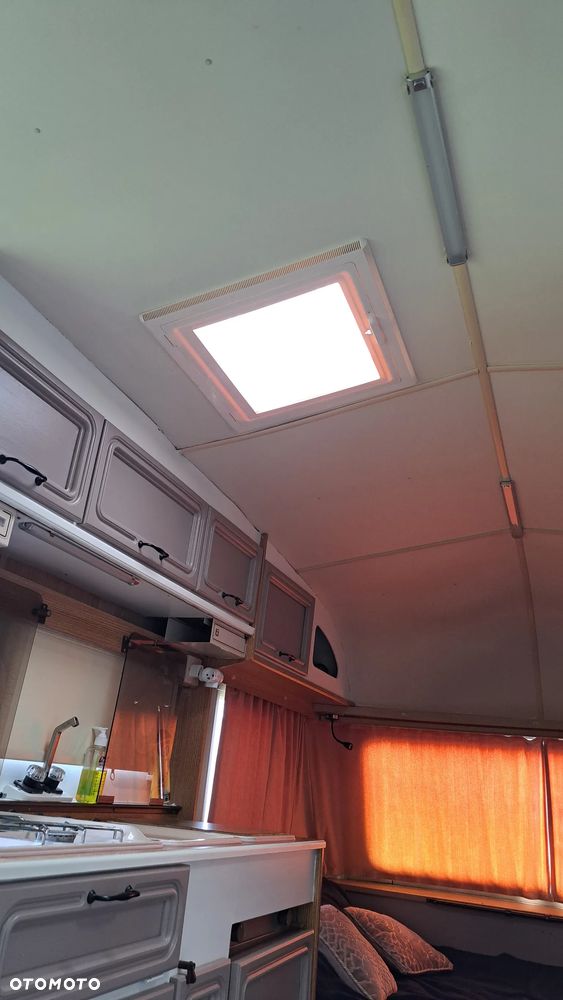 Abi Jubilee Viceroy - 18