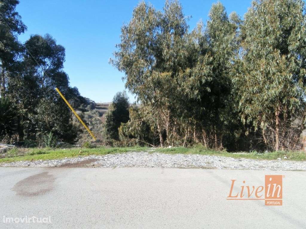 Terreno Misto para Construção de Armazém - Grande imagem: 4/10