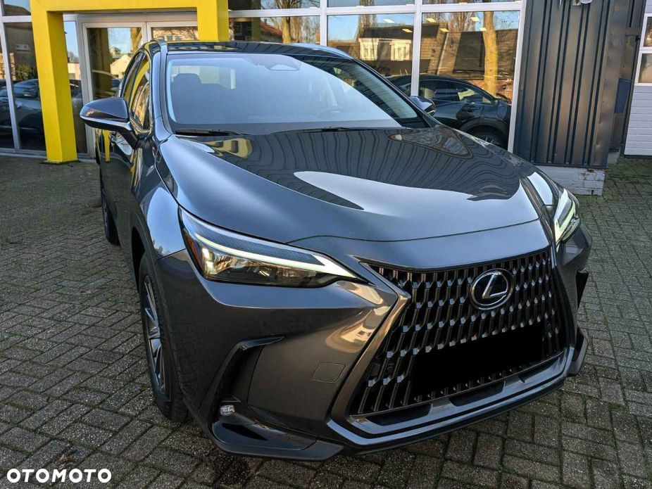 Lexus NX 350h Prestige 2WD - 7