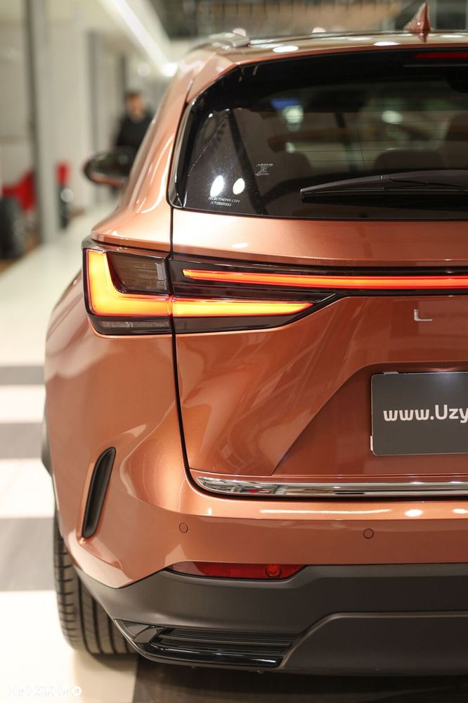Lexus NX - 21