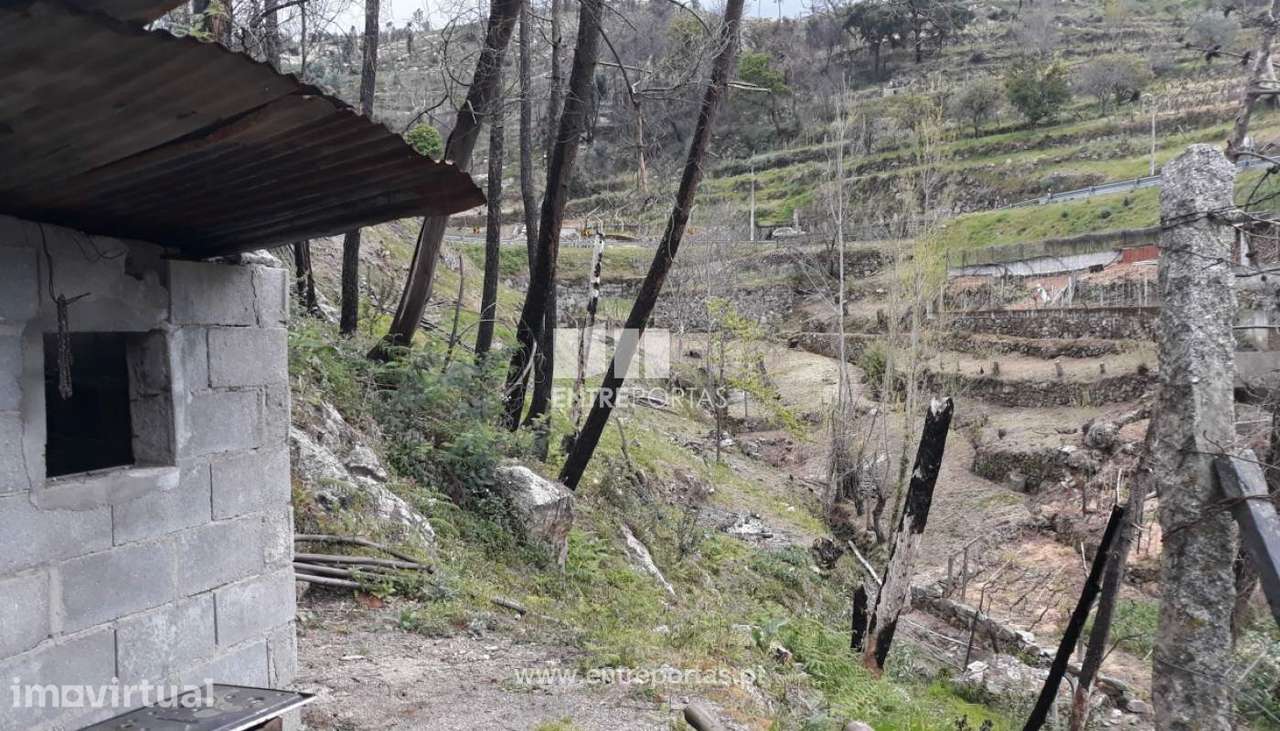 Venda Terreno, confronta ribeiro, São Tomé de Covelas, Baião - Grande imagem: 5/10
