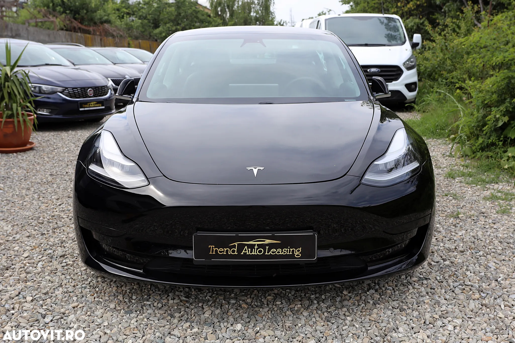 Tesla Model 3 Standard Reichweite Plus Hinterradantrieb - 3