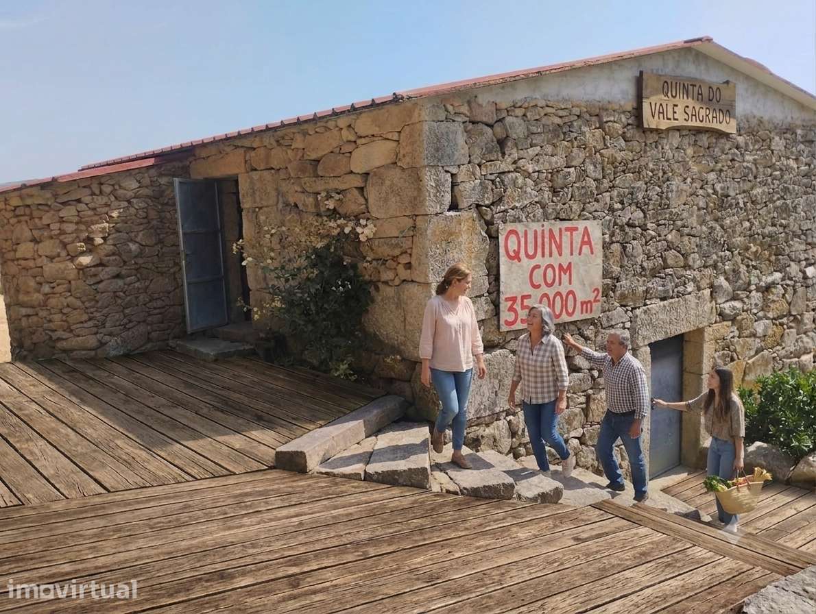 Quinta no Douro 20 000 com arrumo de apoio em Tarouca - Grande imagem: 4/19