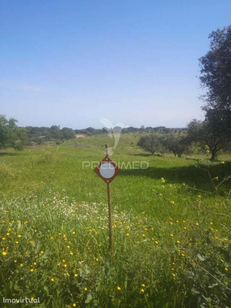 Terreno com mais de 5 hectares para venda em Ferreira do Alentejo - Grande imagem: 5/12