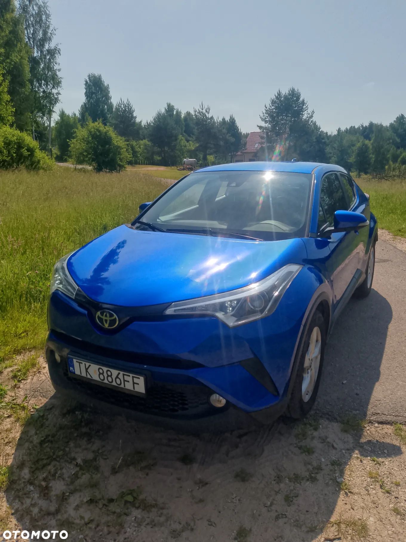 Toyota C-HR 1.2 T Dynamic - 1