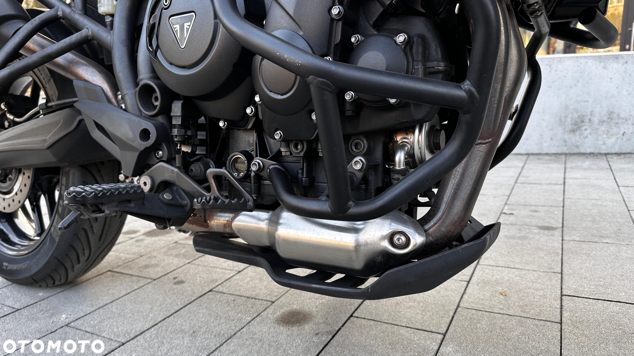 Triumph Tiger - 13