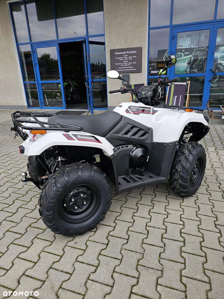 Kawasaki Brute Force - 8