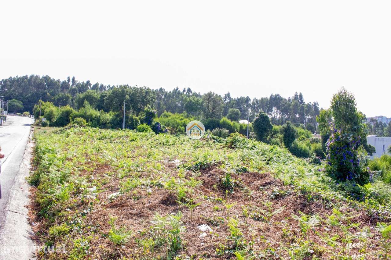 Terreno para Venda em São Paio de Oleiros – Oportunidade de Investimen - Grande imagem: 5/12