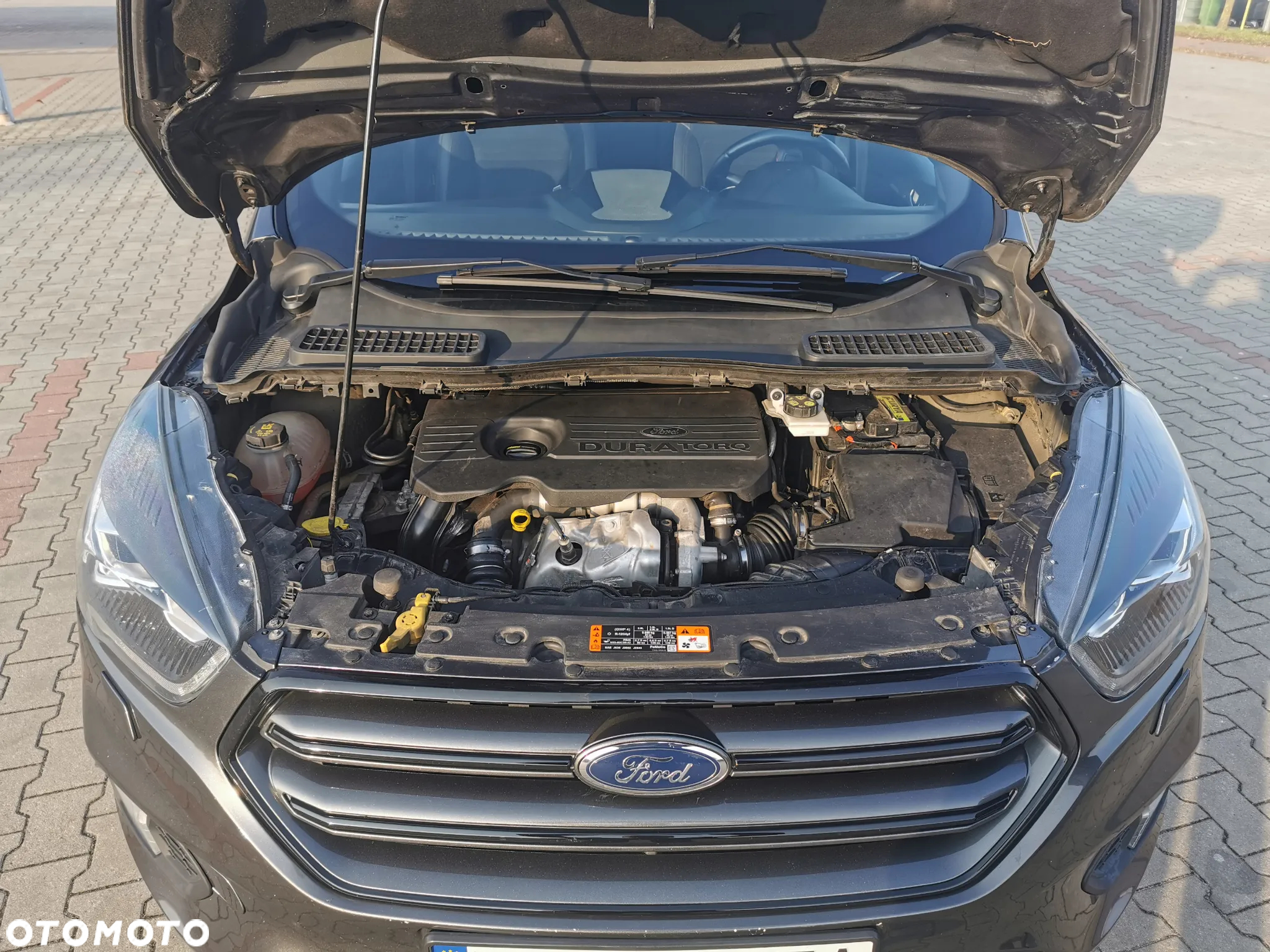 Ford Kuga 1.5 EcoBlue ST-LINE - 8