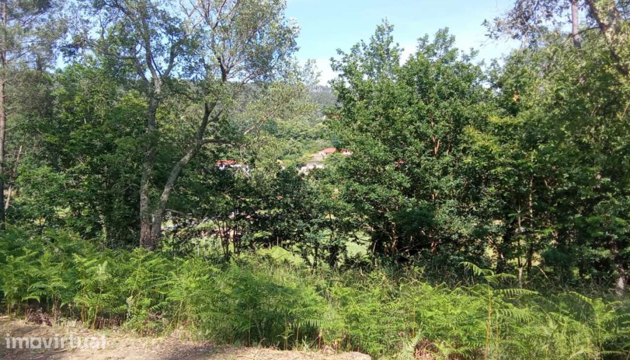 Terreno para venda, Orbacém, Caminha - Grande imagem: 4/8