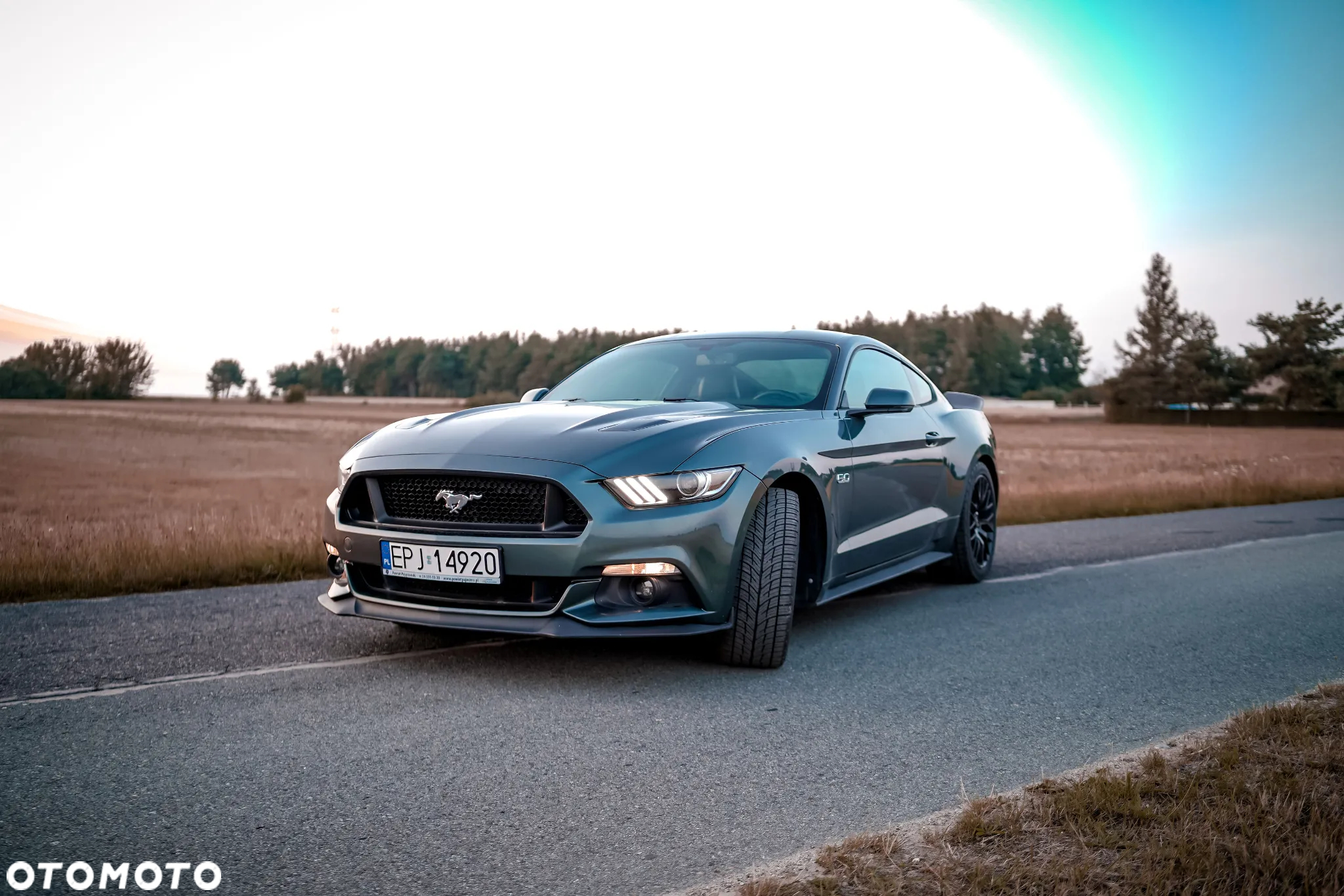 Ford Mustang 5.0 V8 GT - 2