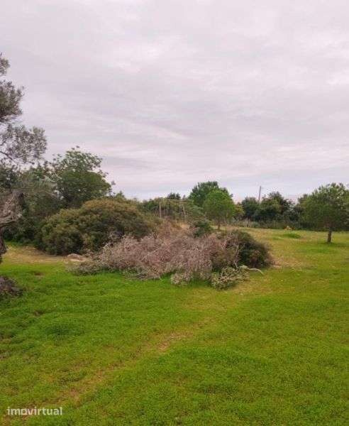 Terrenos para arrendamento - Grande imagem: 3/4