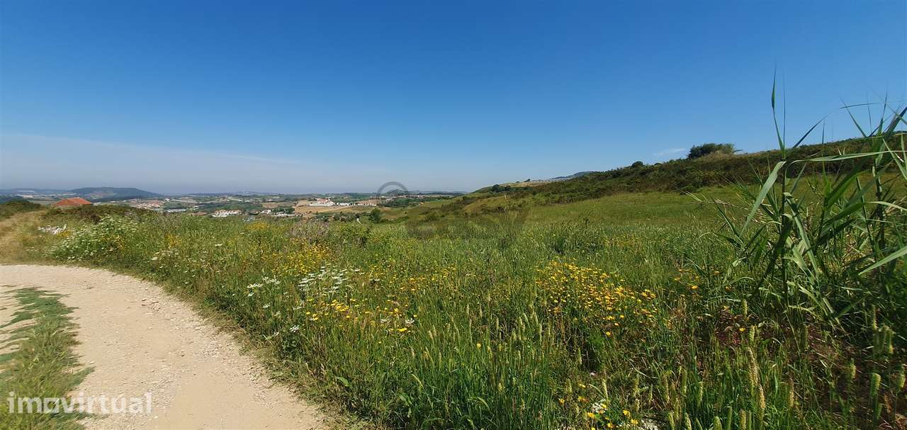 Terreno com 19.400 m² - Grande imagem: 4/8