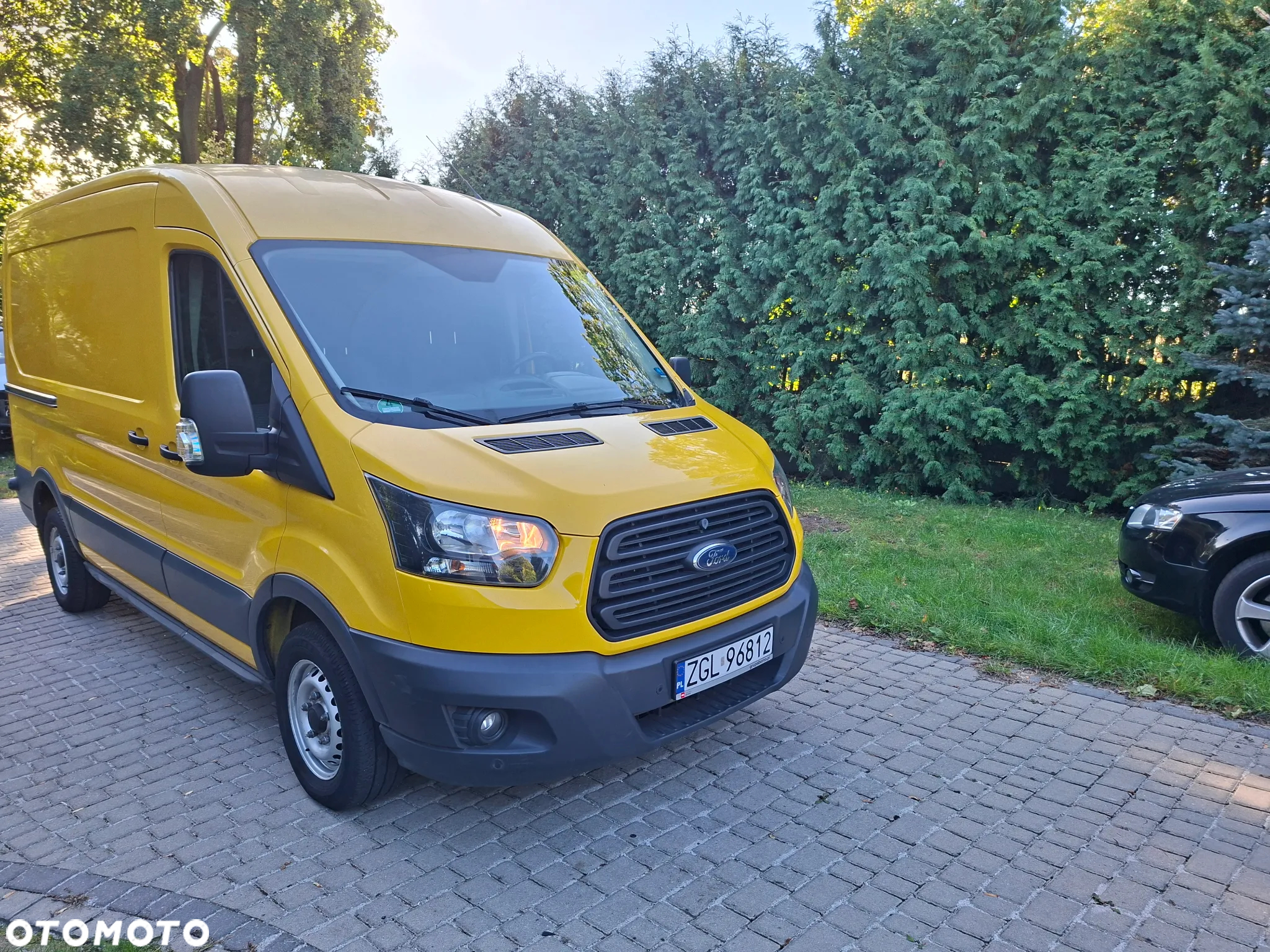Ford Transit - 6