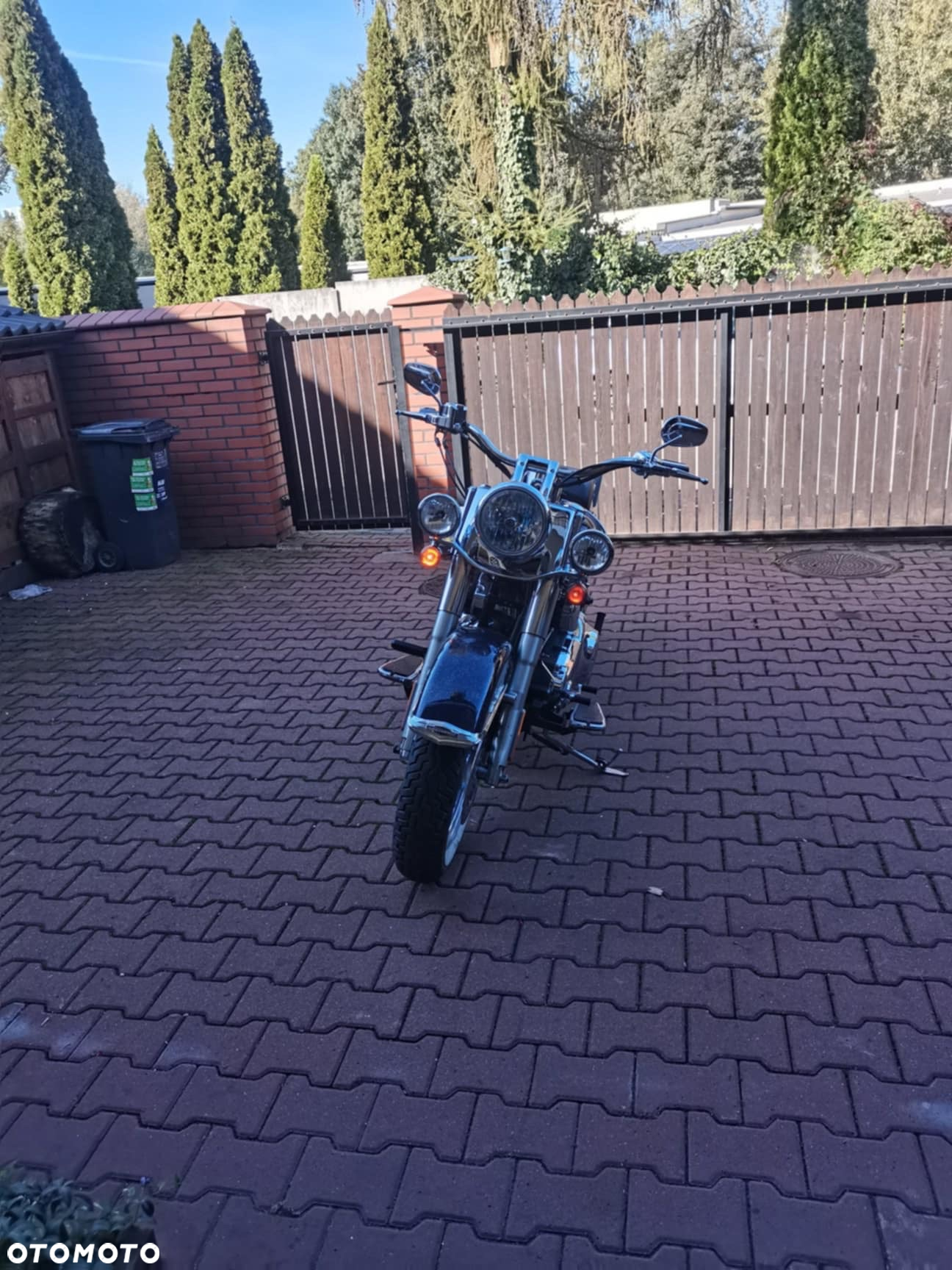 Harley-Davidson Softail Deluxe - 15