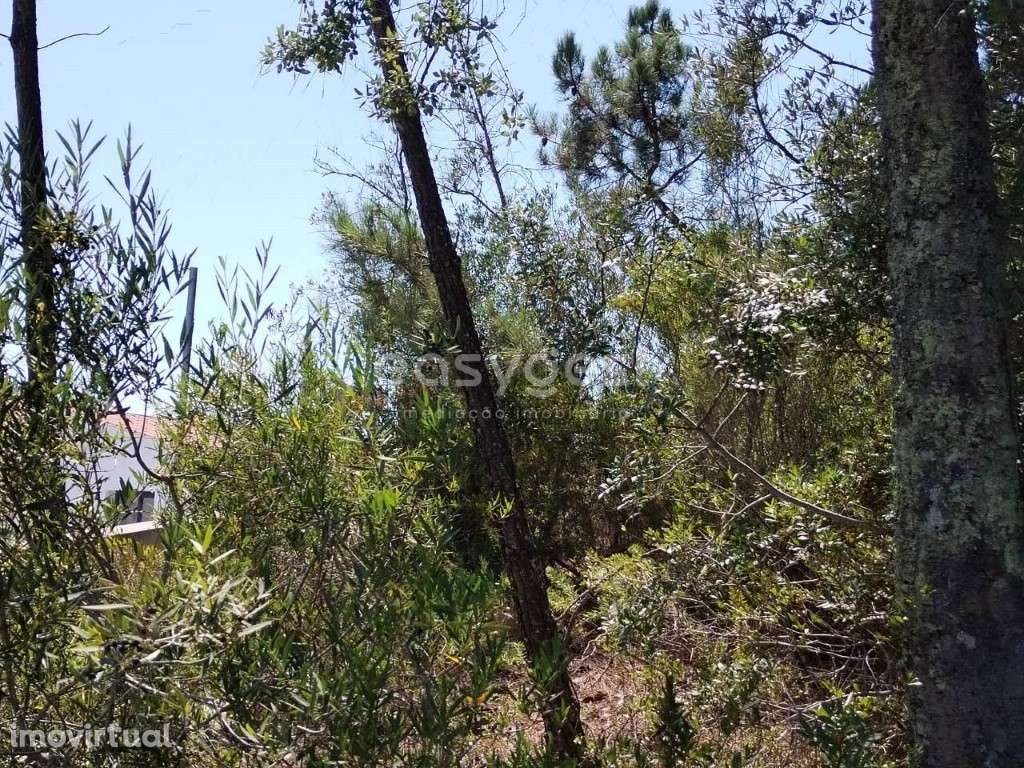Terreno inserido na malha urbana e a cerca de 50 metros do Rio Zêzere - Grande imagem: 4/13