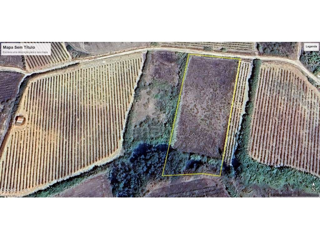 Terreno rústico com 6000m2, Barril, Encarnação. - Grande imagem: 3/3