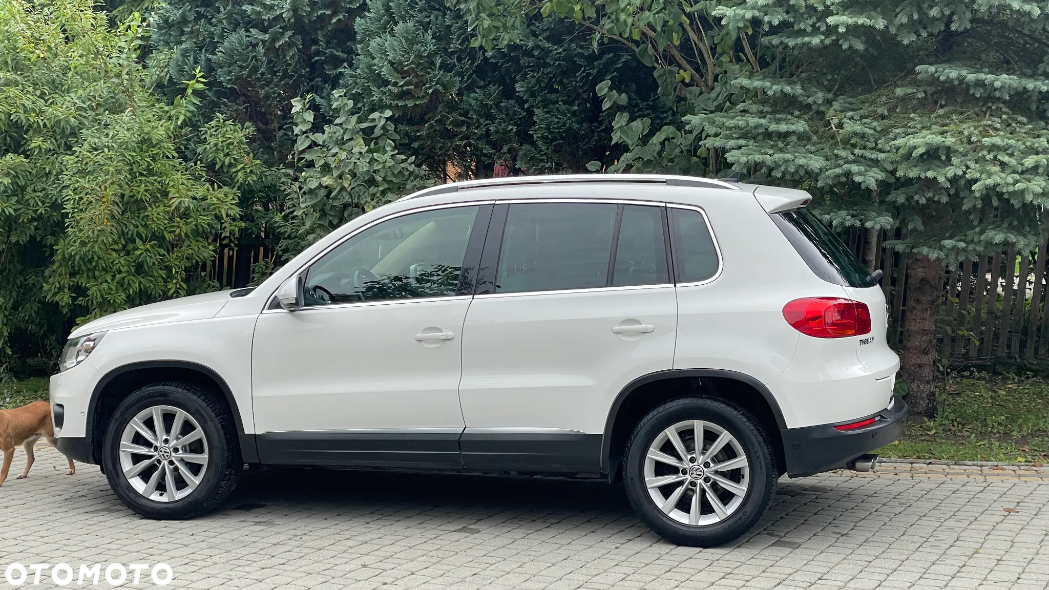 Volkswagen Tiguan 2.0 TDI 4Mot Sport&Style - 2