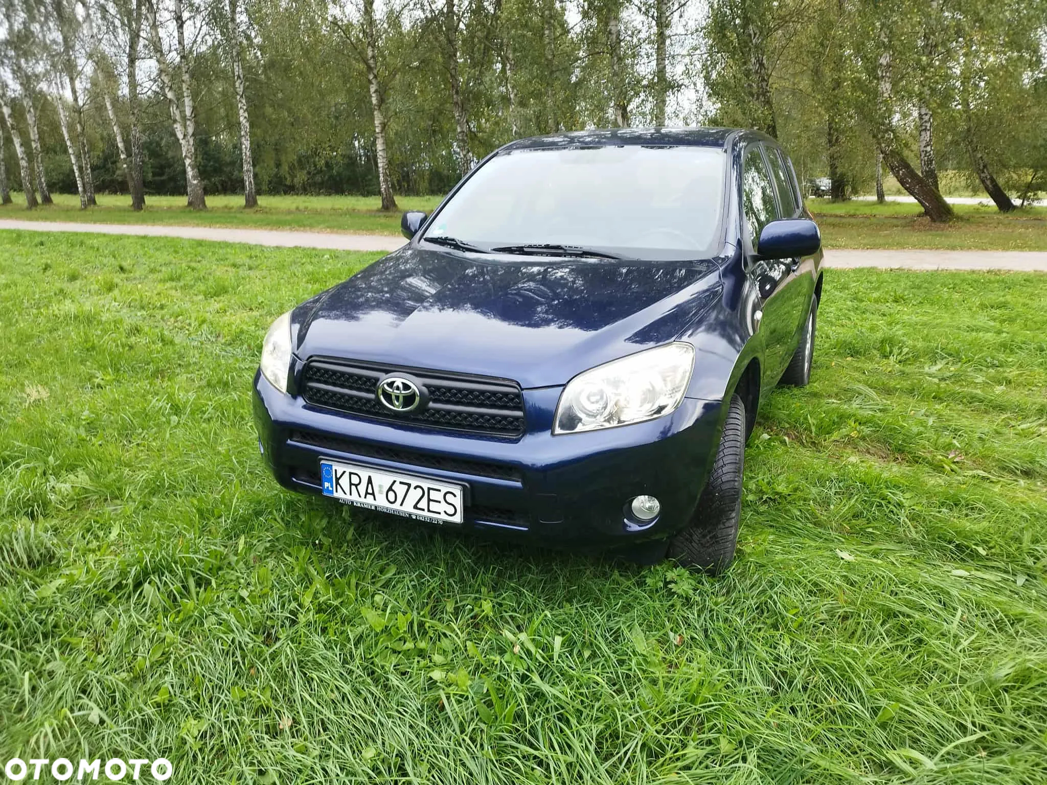 Toyota RAV4 2.0 VVT-i Premium - 7