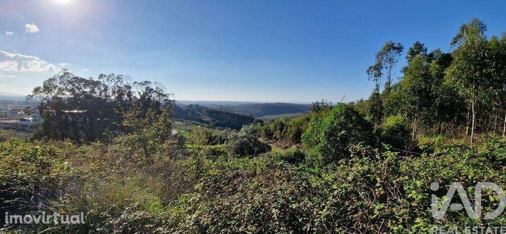 Terreno em Igreja Nova e Cheleiros de 10000,00 m2 - Grande imagem: 4/28