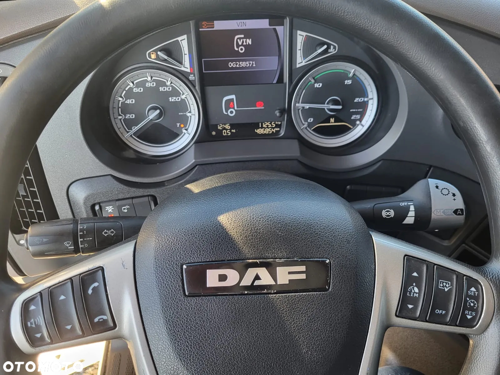 DAF - 31