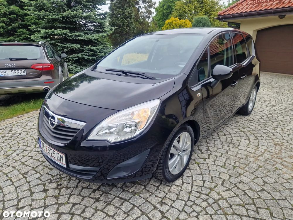 Opel Meriva 1.4 Ecoflex Color Edition - 8