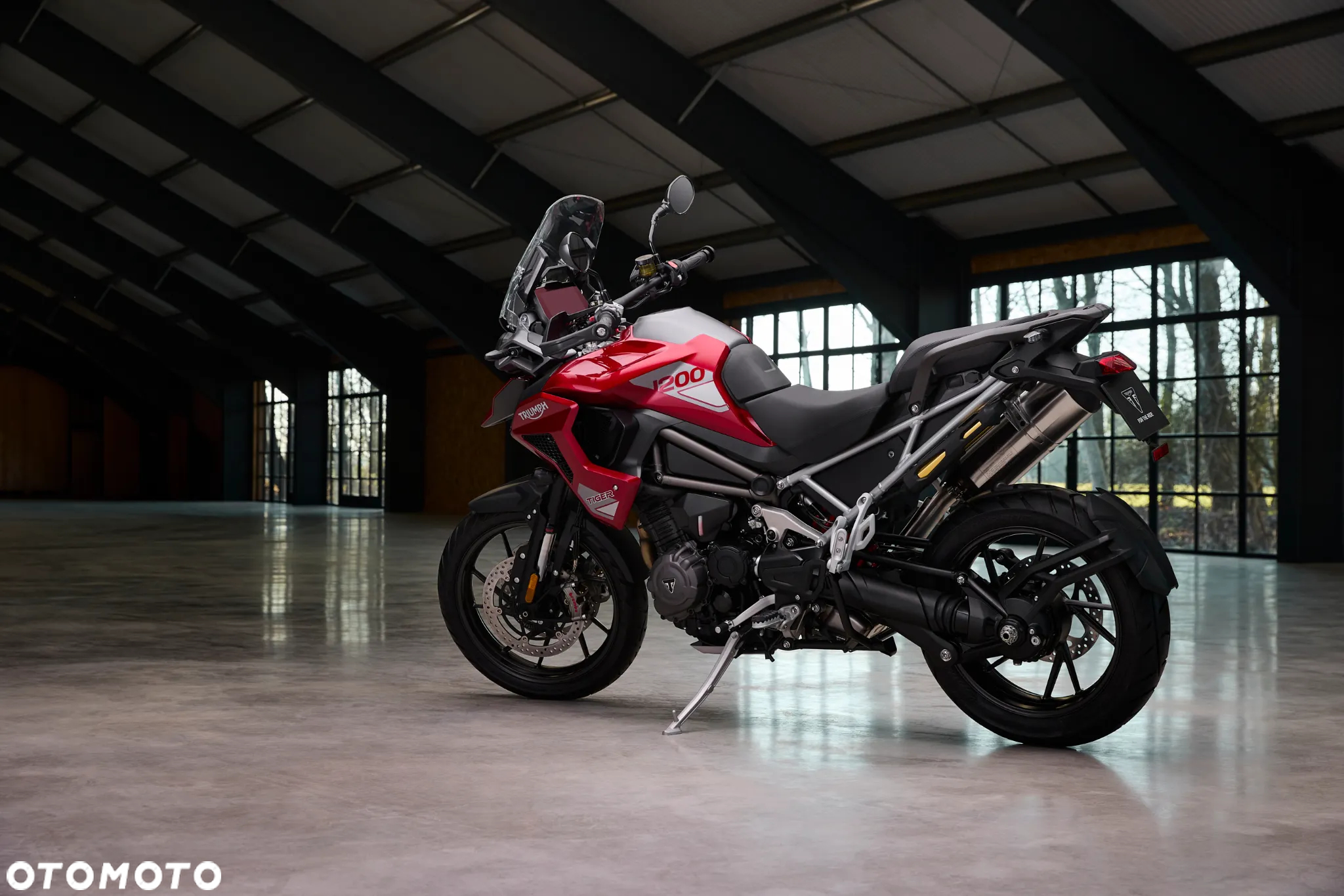 Triumph Tiger - 4