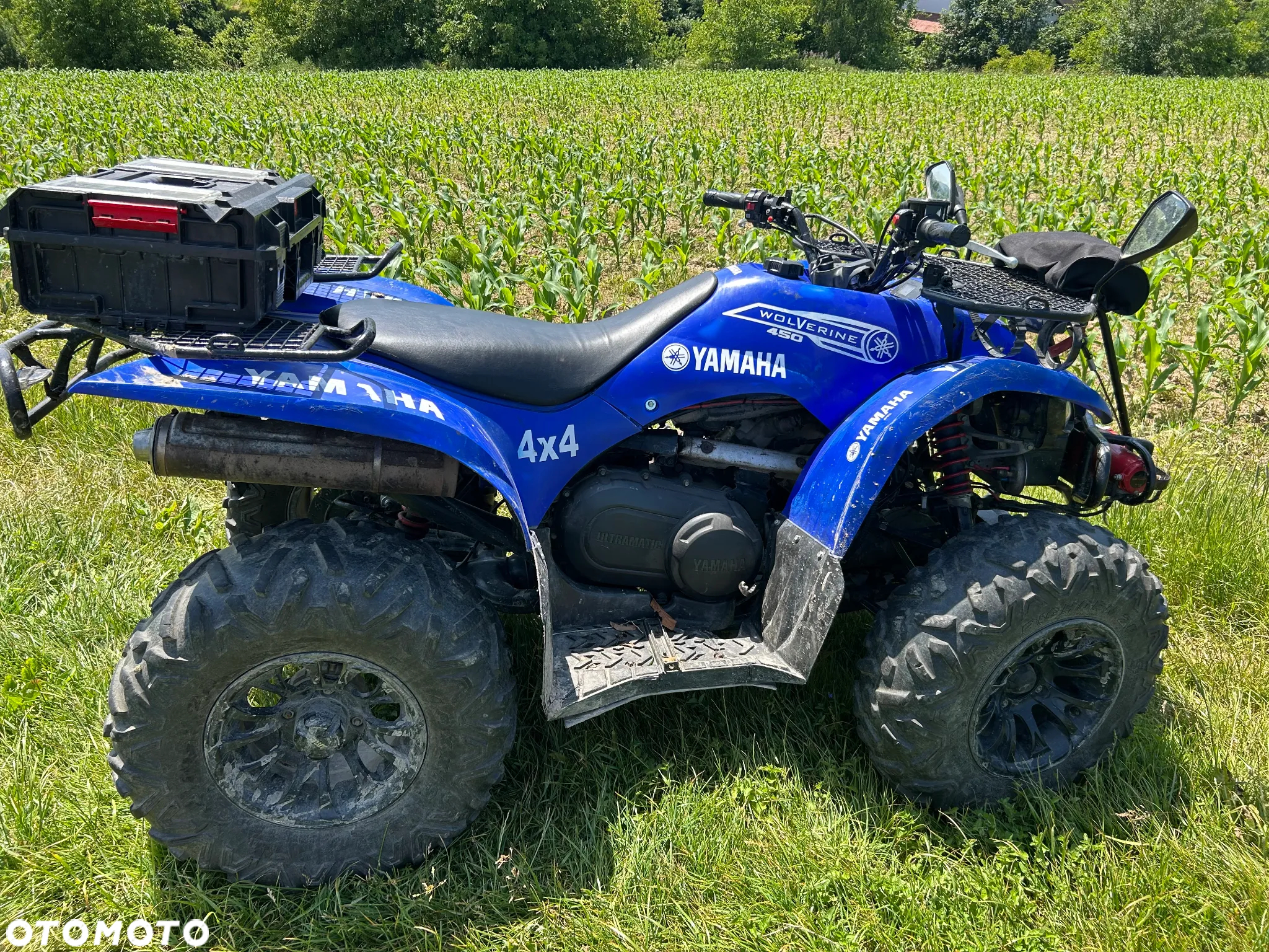 Yamaha Wolverine - 6