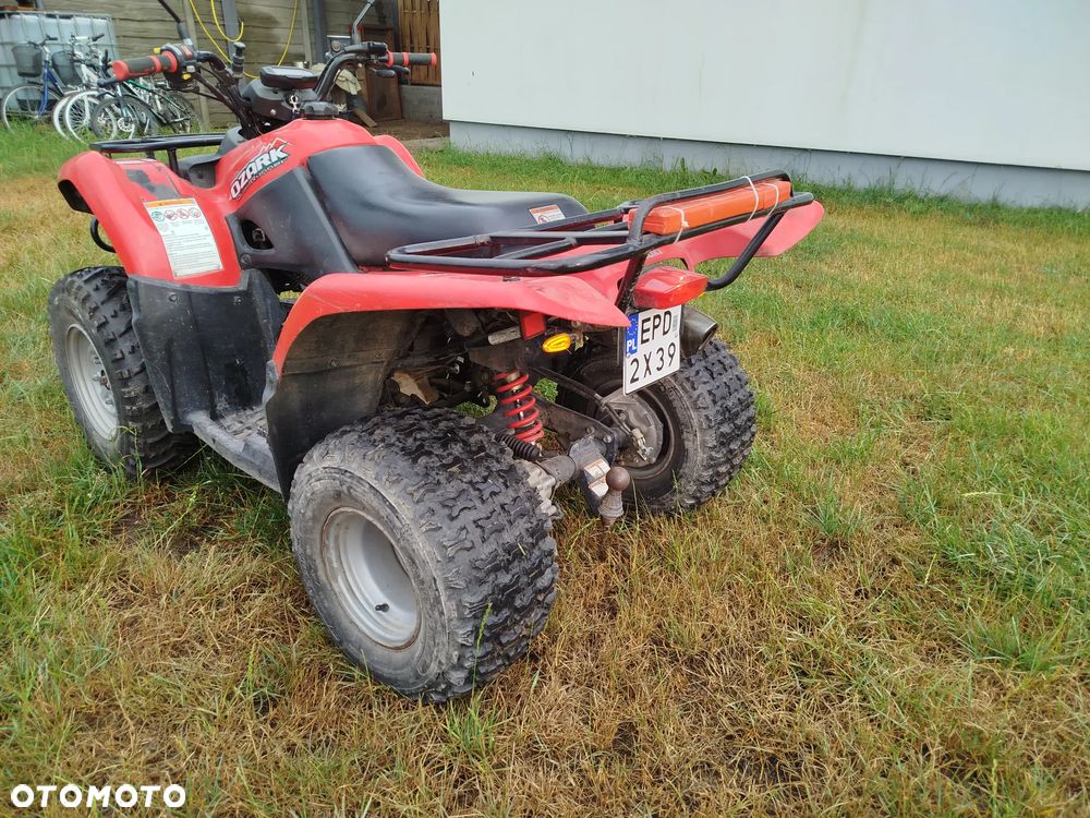 Suzuki Inny - 5