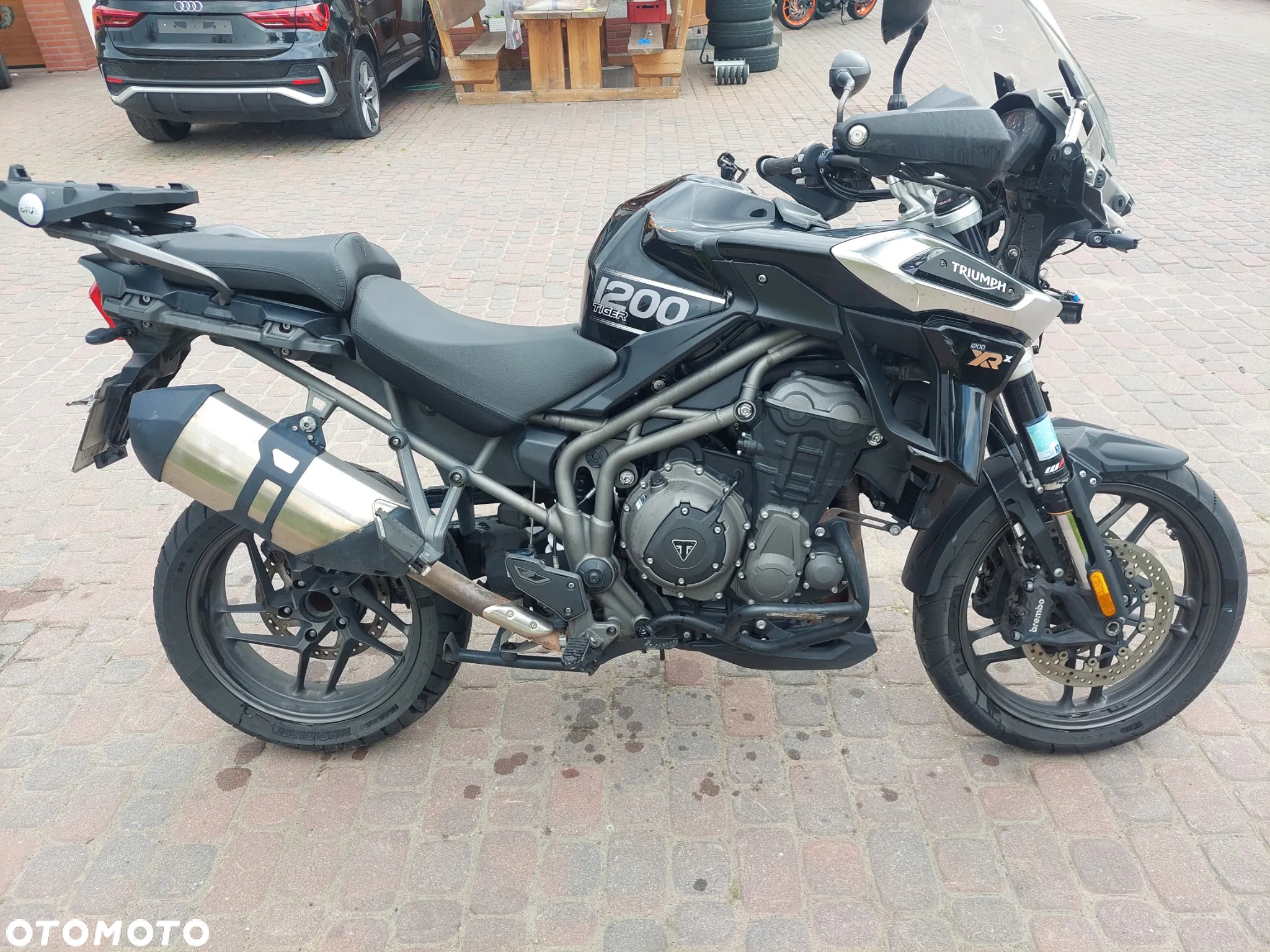 Triumph Tiger - 6