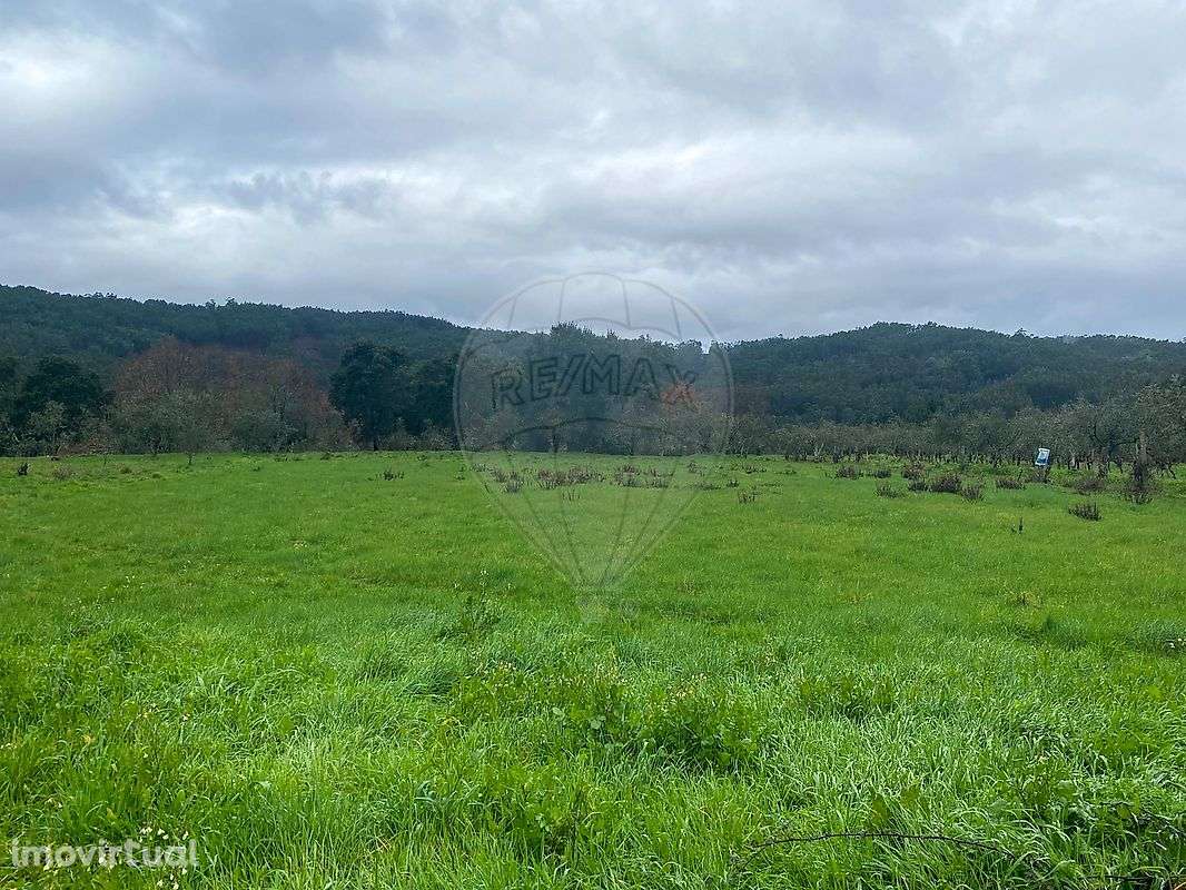 Terreno  para venda - Grande imagem: 4/14