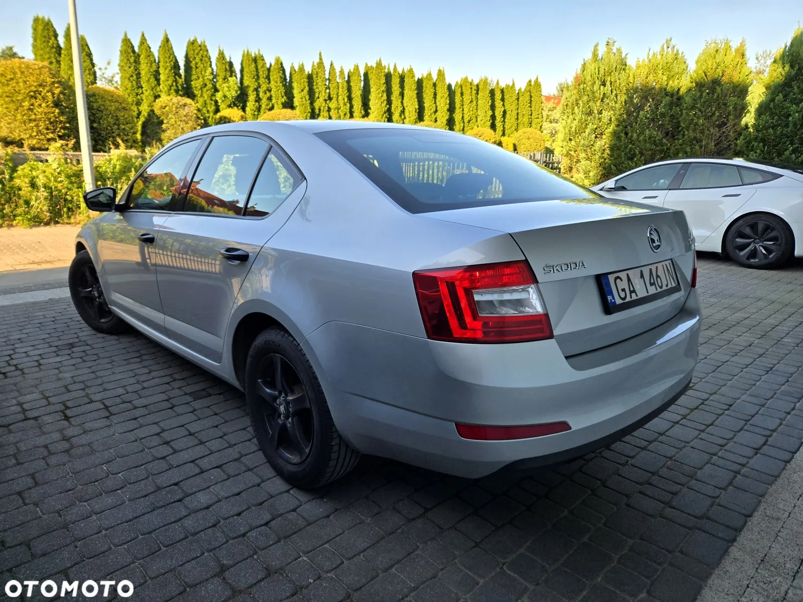 Skoda Octavia 1.4 TSI Ambition - 3