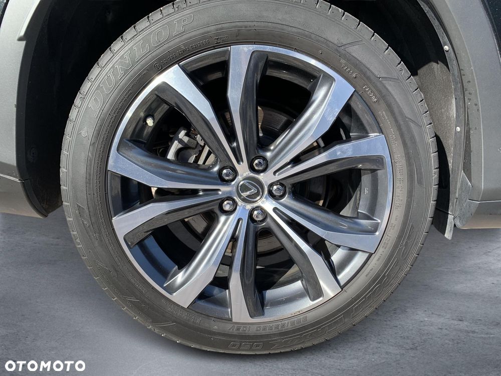 Lexus RX 450h F-Impression - 26