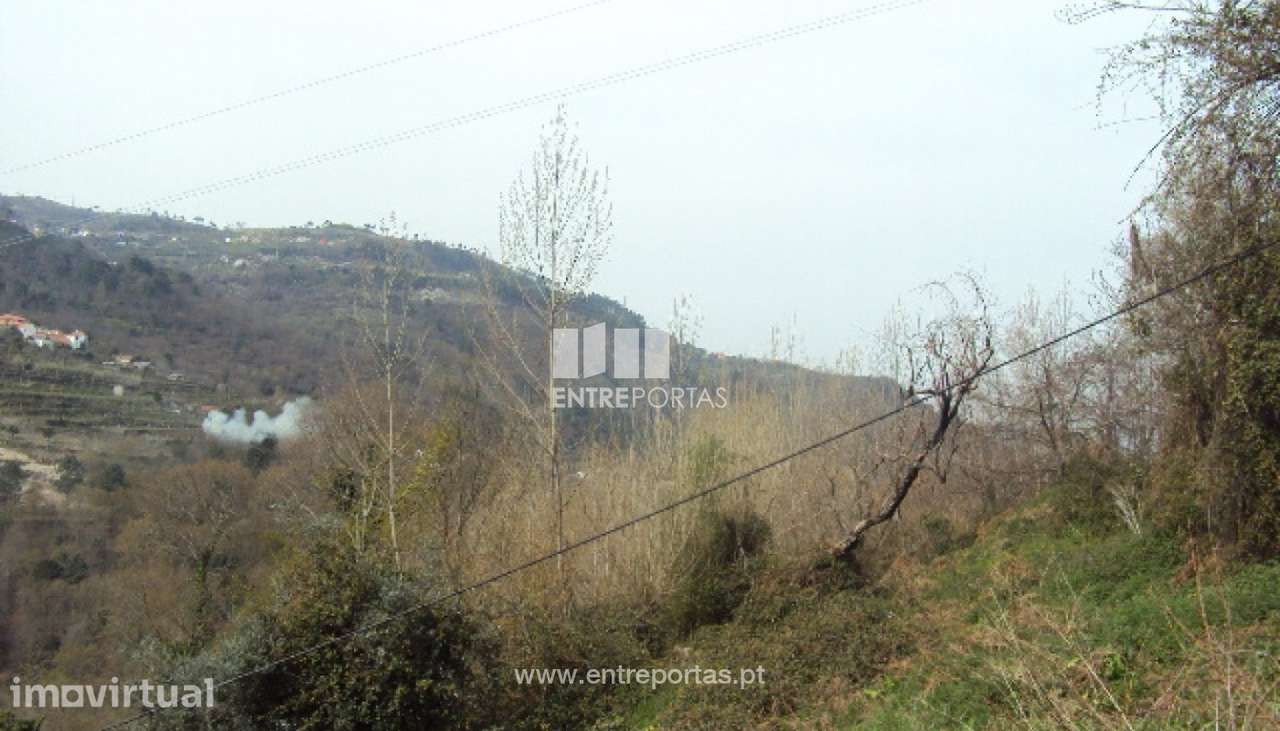 Venda Terreno, Ferreiros de Tendais, Cinfães - Grande imagem: 3/8