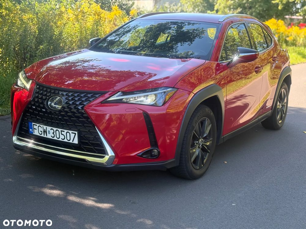 Lexus UX - 19