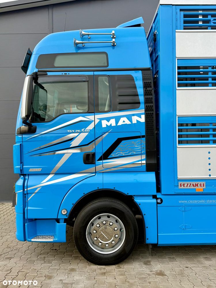 MAN TGX 26.540 // E6 // Zabudowa PEZZAIOLI // 3 poziomy hydraulika, podnoszony dach, rampa hydrauliczna // do żywca, do bydła, do transportu zwierząt - 25