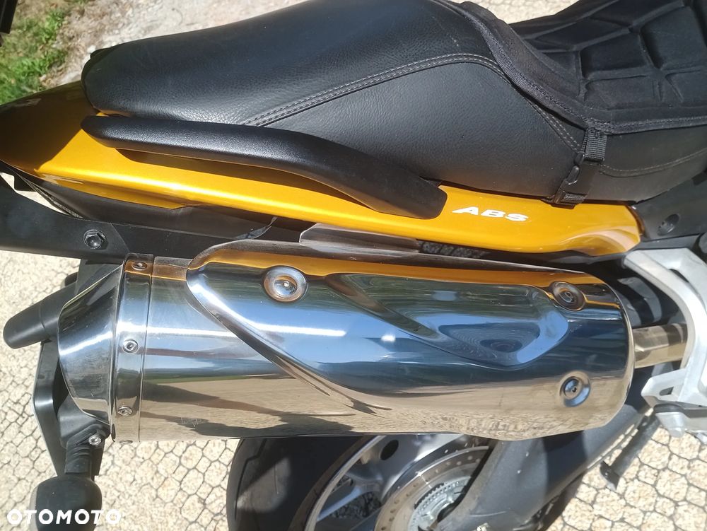 Triumph Tiger - 16