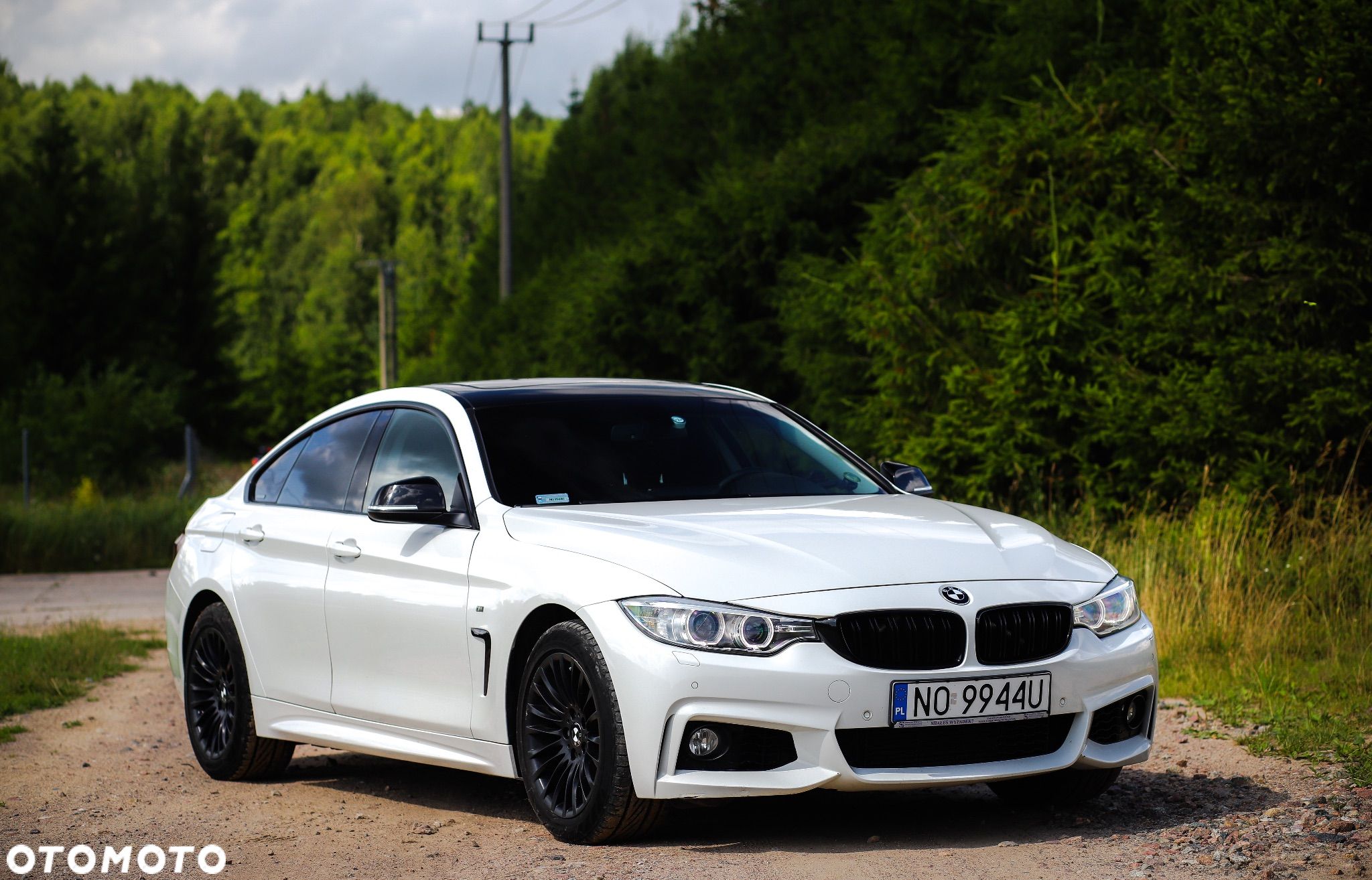 BMW Seria 4 428i Gran Coupe - 1