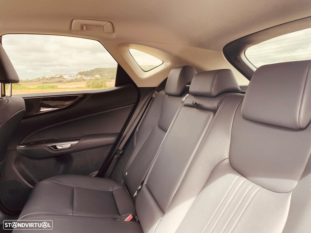 Lexus NX 450h+ Executive - 34