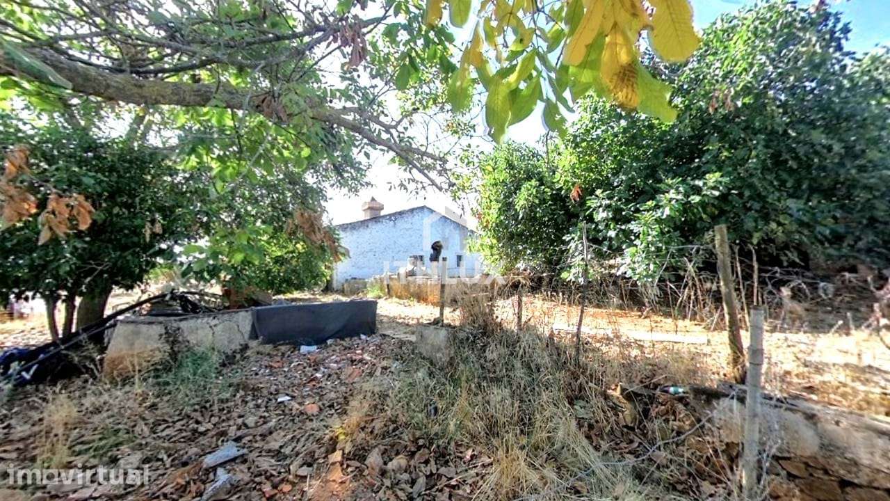 Quinta com 32.500 m2 em Elvas-Alentejo- Portugal - Grande imagem: 2/40