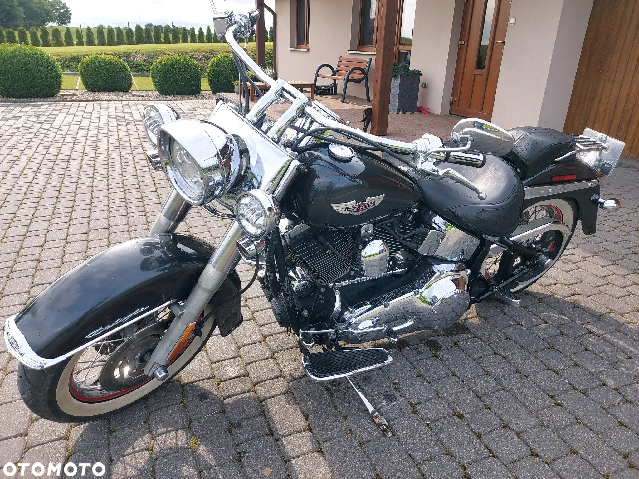 Harley-Davidson Softail Deluxe - 4