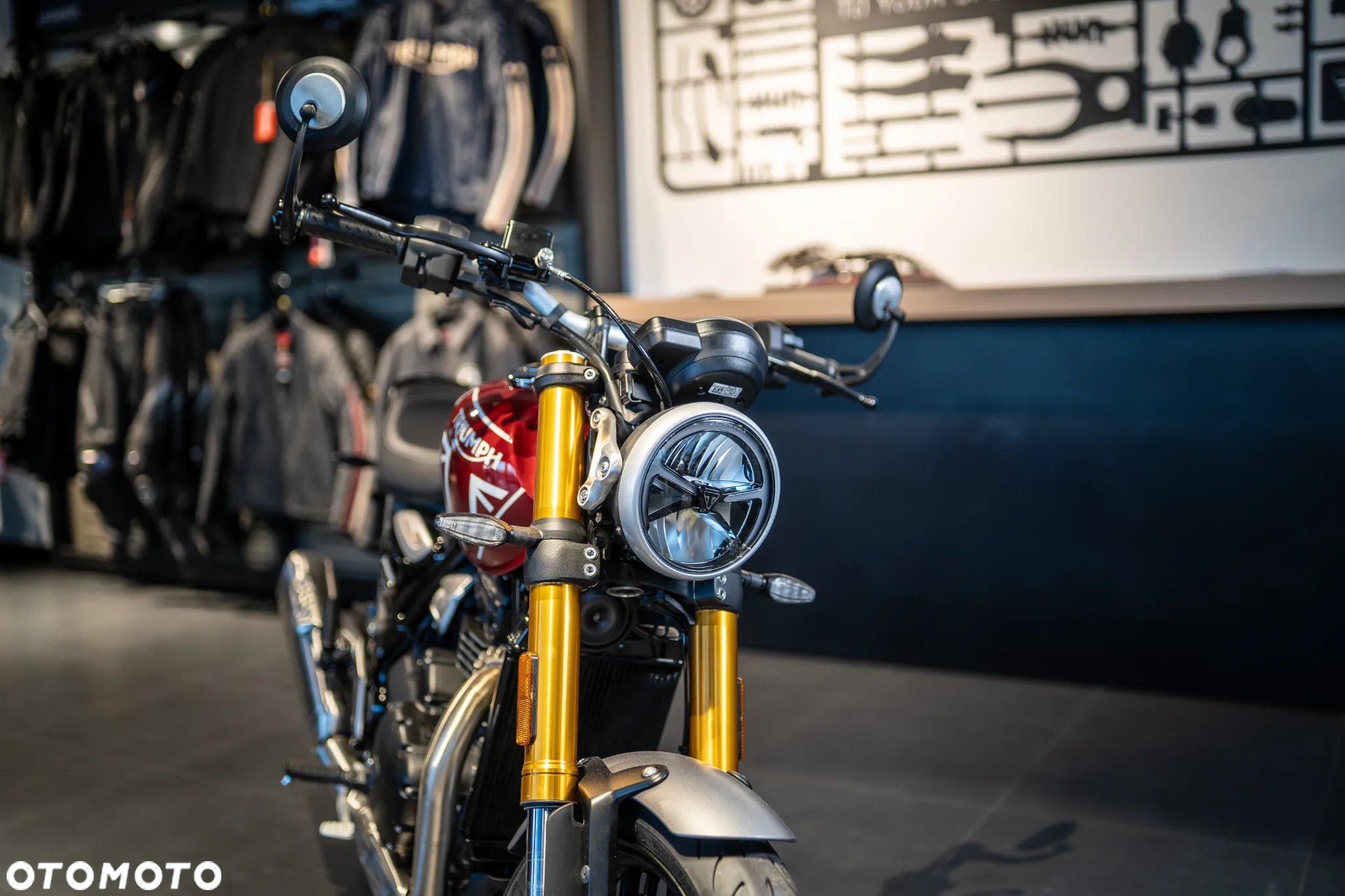 Triumph Inny - 18