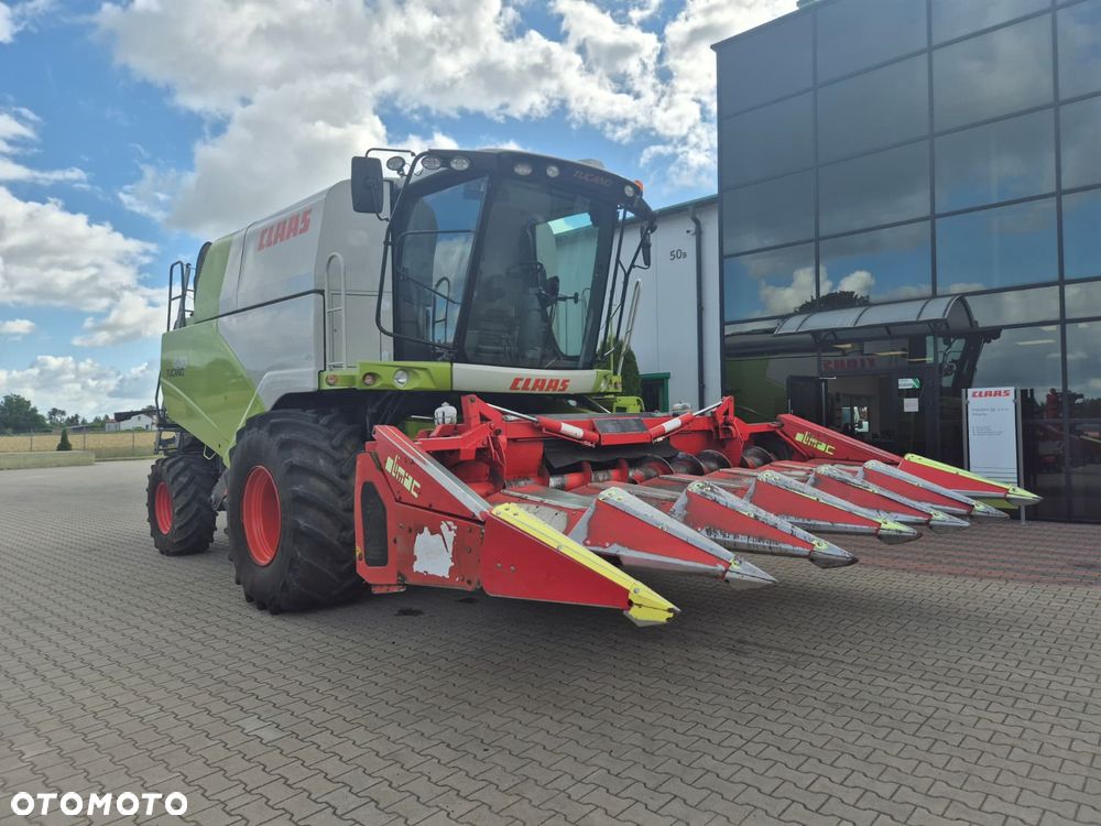 Claas Tucano 440 z hederem Vario 620 i przystawką do kukurydzy Olimac - 3