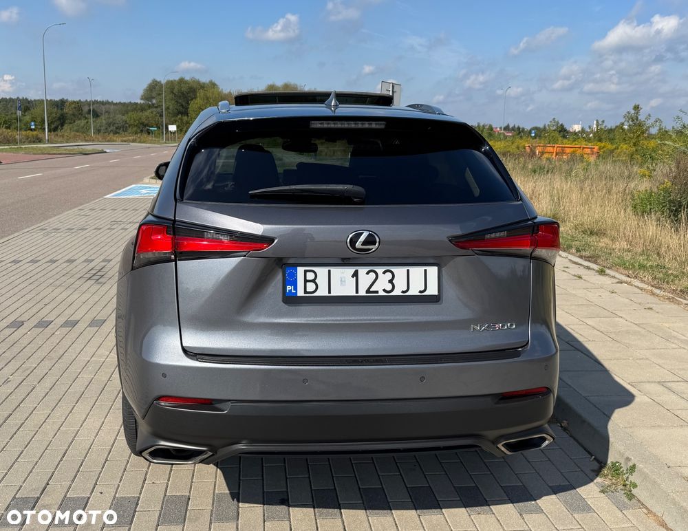 Lexus NX 300 - 7