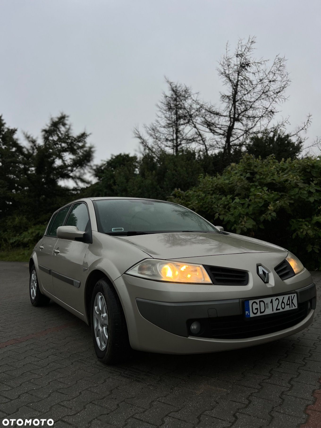 Renault Megane - 1